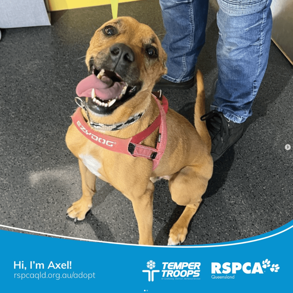 Temper Troops Air Conditioning Electrical Brisbane to the